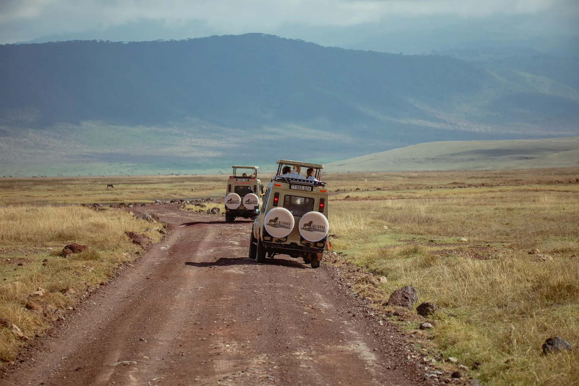 Wildlife in an East African safari landscape